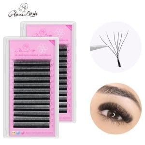 6D-W Eyelash Extension